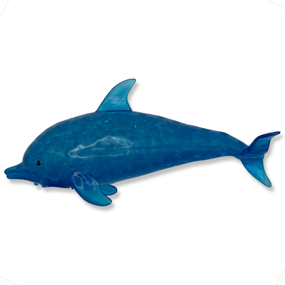 Dolphin 2024 water toy